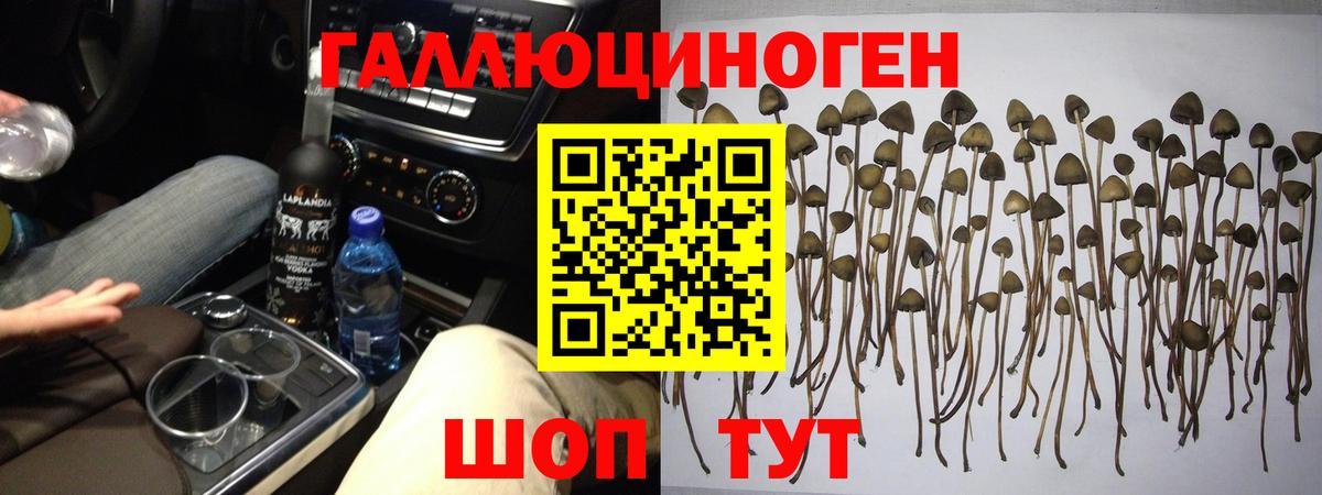 Псилоцибиновые грибы Magic Shrooms  Вход с VPN  Минусинск 