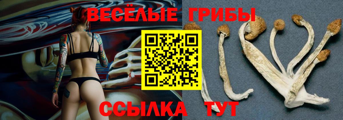 Галлюциногенные грибы Magic Shrooms Минусинск